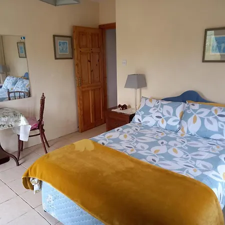 Connemara Sea Side House, Dog Paradise!