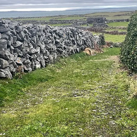 Connemara Sea Side House, Dog Paradise! Βίλα Leagun