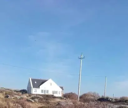 Connemara Sea Side House, Dog Paradise!