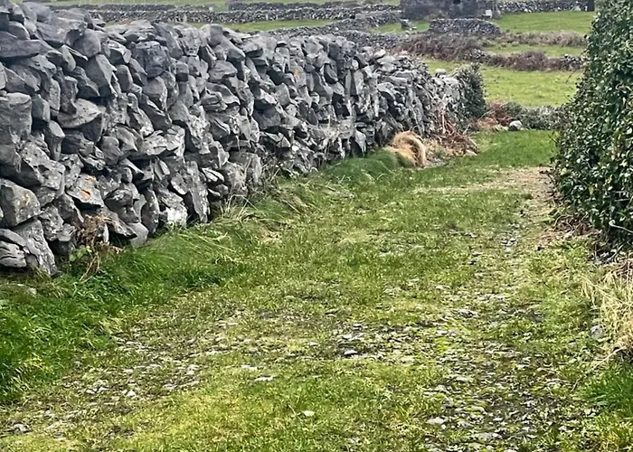 Connemara Sea Side House, Dog Paradise! Villa Leagun